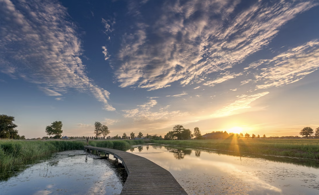Zomerfoto